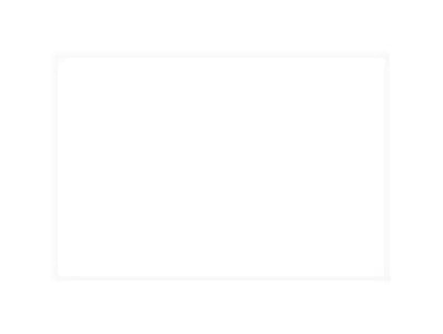 Car Decals tempVendor