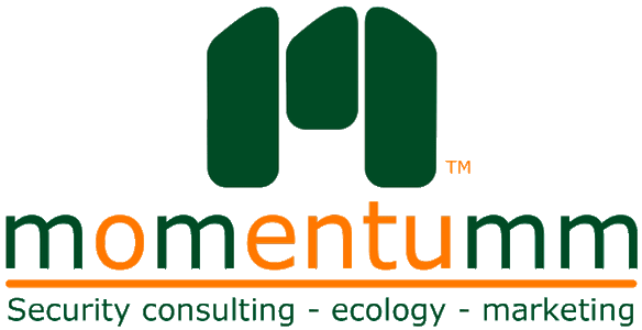 Transfer Stickers tempVendor