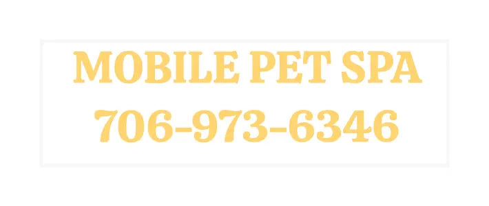 Truck Decals tempVendor