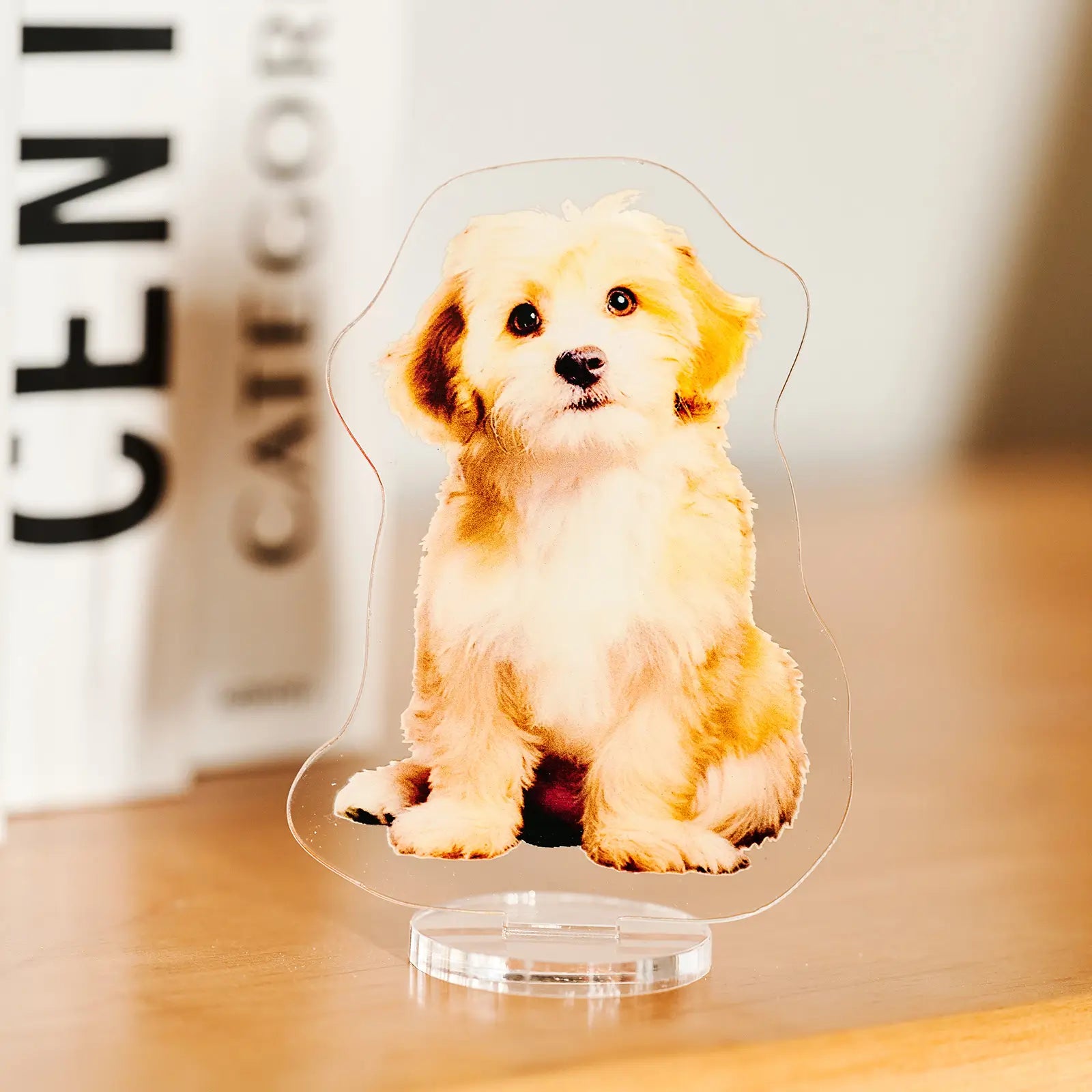 Custom Acrylic Standee