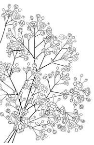 Transfer Stickers tempVendor