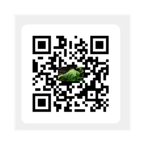 Sticker Sheets tempVendor