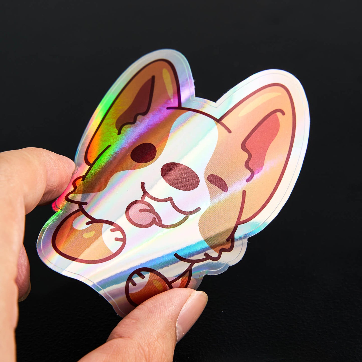 Holographic Header Sticker Packs