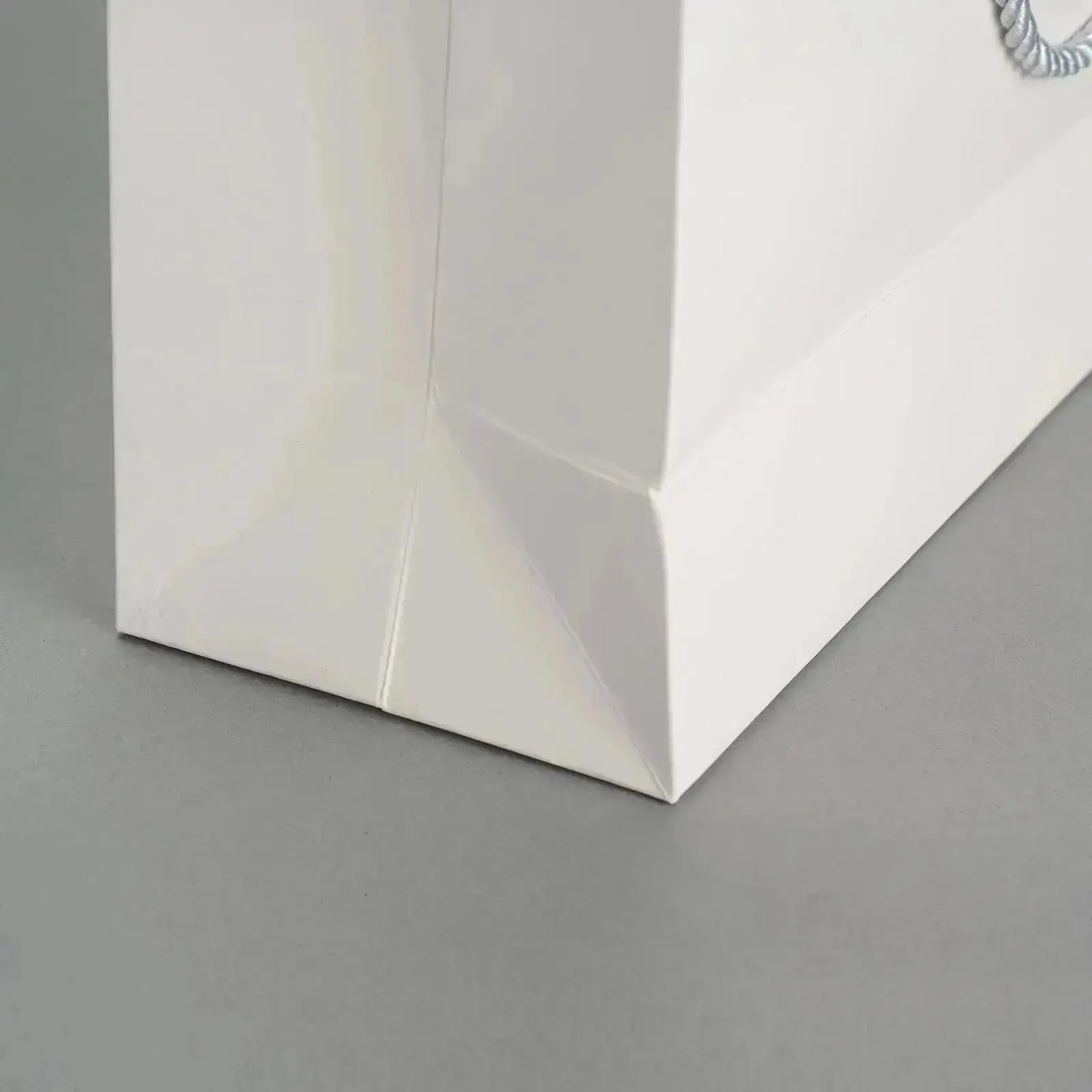 Custom Luxury Shopping Bags RACETOP