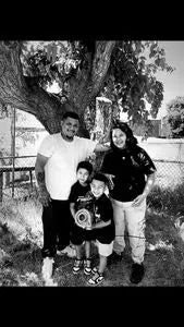 Transfer Stickers tempVendor