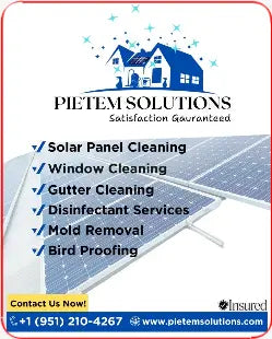 Car Decals tempVendor