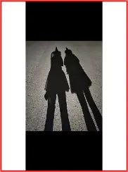 Wall Decal tempVendor