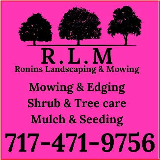 Car Decals tempVendor