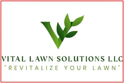 Car Decals tempVendor