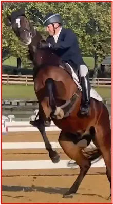 Car Decals tempVendor