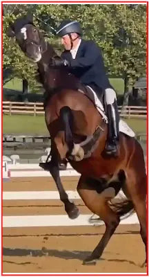 Car Decals tempVendor