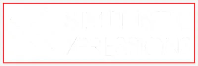 Transfer Stickers tempVendor