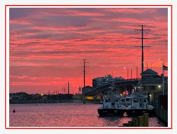 Wine Labels tempVendor