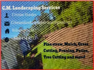 Car Decals tempVendor