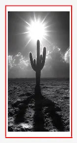 Transfer Stickers tempVendor