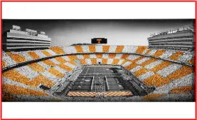 Car Decals tempVendor