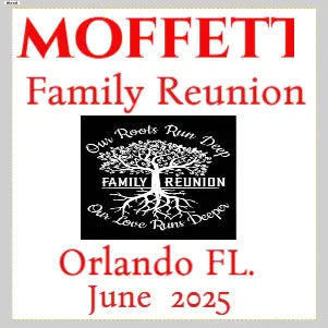 Transfer Stickers tempVendor