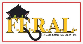 Transfer Stickers tempVendor