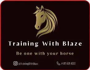 Car Decals tempVendor