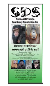 Custom Business Flyers