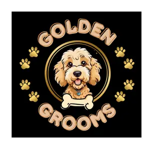 Car Window Decals tempVendor