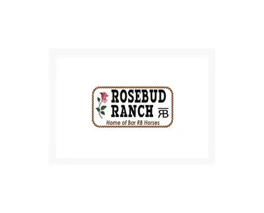 Transfer Stickers