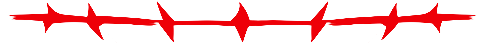 Custom Windshield Decals