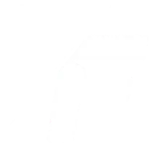 Car Decals