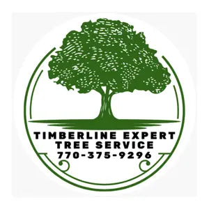 Car Decals