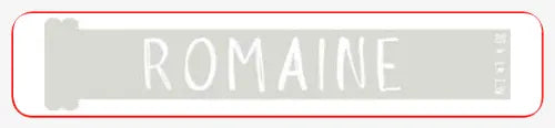 Die Cut Stickers tempVendor