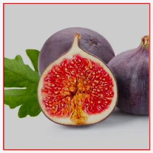 Single Label tempVendor