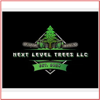 Custom Car Magnets tempVendor
