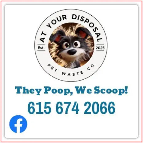 Custom Car Magnets tempVendor