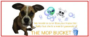 Bumper Sticker