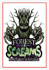 Transfer Stickers tempVendor