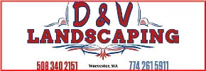 Car Decals tempVendor