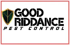 Custom Windshield Decals