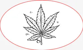Wall Decal