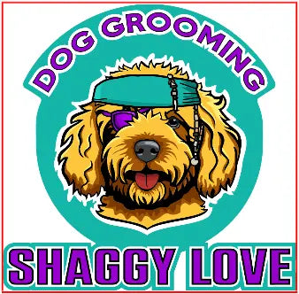 Custom Car Magnets